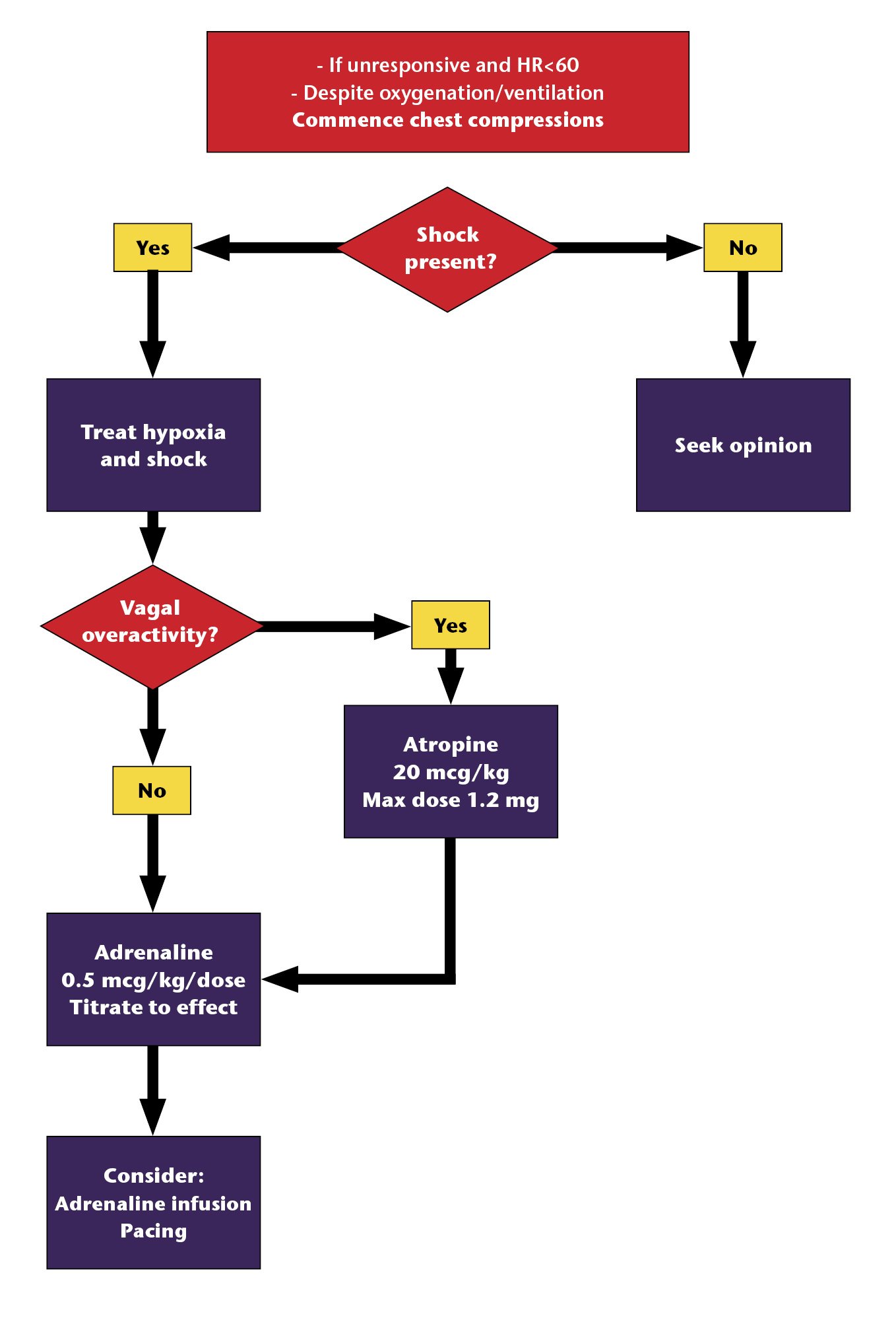 Management of bradycardia 7th Ed